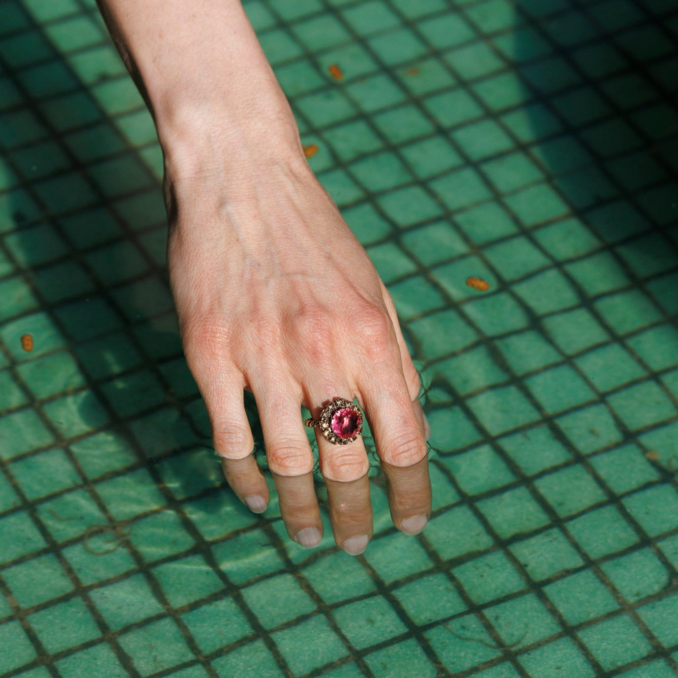 ASSENZIO anello - tutti i colori