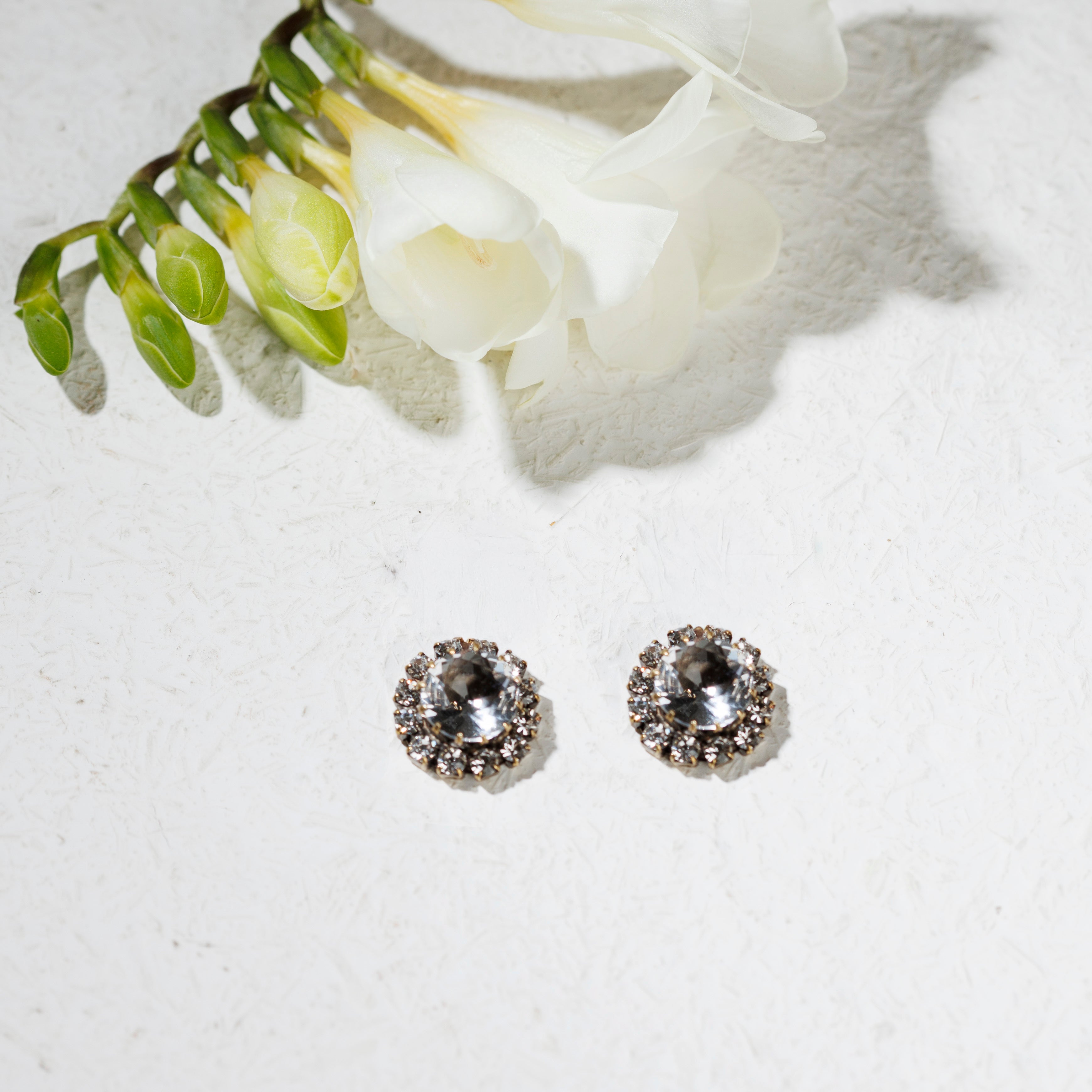 ASSENZIO earrings - all colors