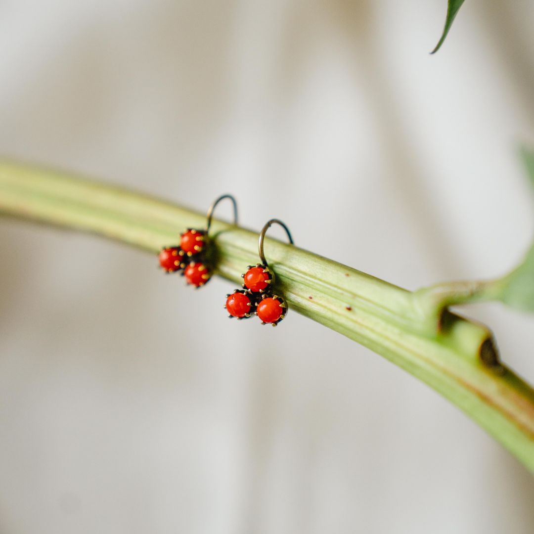 LAME' orecchini corallo