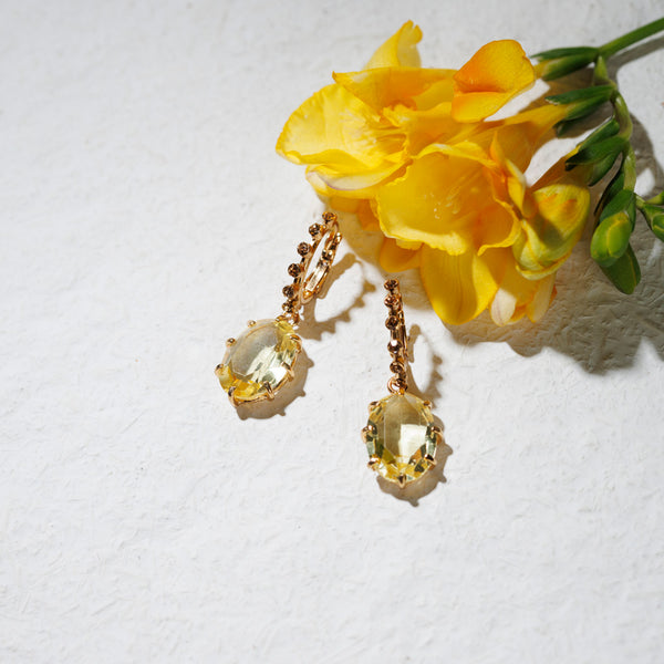 ANITA crystal earrings