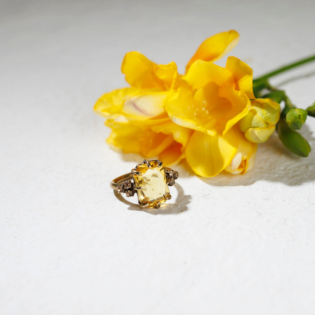 SAVINA ring all colors