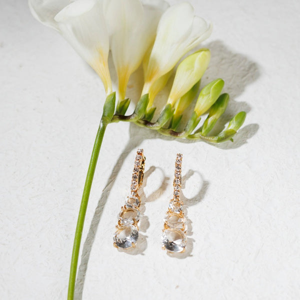CARDO crystal earrings
