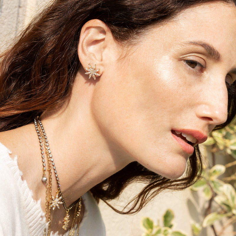 WIND ROSE earring